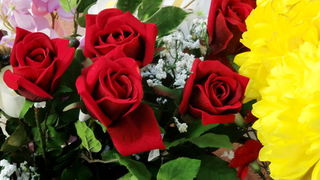 Gradska trznica uoci dana mrtvih, Foto: Mia Knezevic