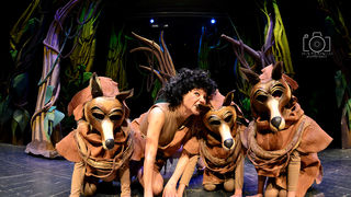 Knjiga o džungli, foto: Iva Perinčić Knjiga o džungli, foto: Iva Perinčić