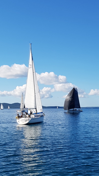 Zadarska Koka 2016. 22. listopada 2016. Foto: Mladen Malik Zadarska Koka 2016. 22. listopada 2016. Foto: Mladen Malik