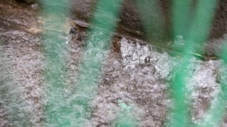 Rekordna količina kiše u ožujku otkad postoje mjerenja