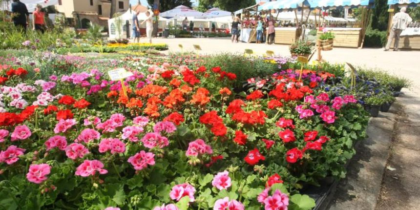 Sv. Filip i Jakov – U organizaciji Turisticke zajednice Opcine Sv. Filip i Jakov, otvoren je Festival cvijeca, od 25. do 27. travnja, cime je i sluzbeno obiljezen pocetak turisticke sezone u Zadarskoj zupaniji. Medju velikom ponudom cvijeca predstavljeni Sv. Filip i Jakov – U organizaciji Turisticke zajednice Opcine Sv. Filip i Jakov, otvoren je Festival cvijeca, od 25. do 27. travnja, cime je i sluzbeno obiljezen pocetak turisticke sezone u Zadarskoj zupaniji. Medju velikom ponudom cvijeca predstavljeni