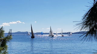 Zadarska Koka 2016. 22. listopada 2016. Foto: Mladen Malik Zadarska Koka 2016. 22. listopada 2016. Foto: Mladen Malik