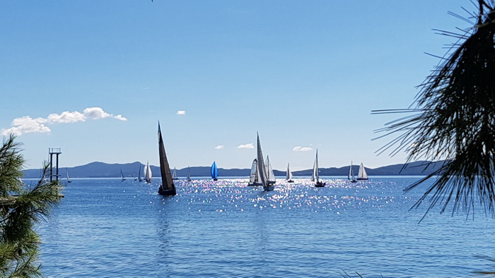 Zadarska Koka 2016. 22. listopada 2016. Foto: Mladen Malik Zadarska Koka 2016. 22. listopada 2016. Foto: Mladen Malik