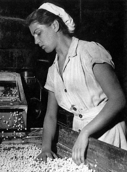 Braća Brkan: Slike sna i svjetlosti Braća Brkan: Slike sna i svjetlosti