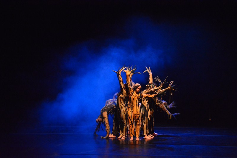 Kako je Potjeh tražio istinu, foto: Iva Perinčić