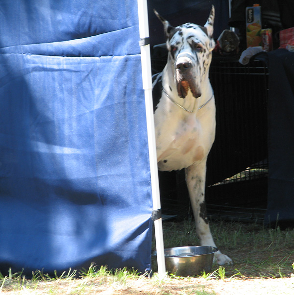 Image 1171051 (auto)