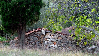 Image 1190411 (auto)