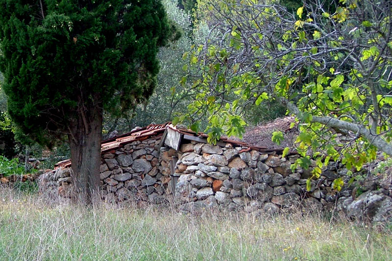 Image 1190411 (auto)