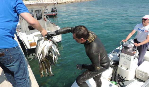 Ivica Košta dive in