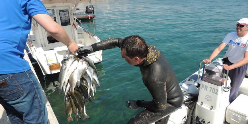 Ivica Košta dive in