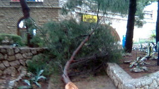 Pijavica s gradom poharala Dolaske Drage, Foto: Maria Dell’Orco Pijavica s gradom poharala Dolaske Drage, Foto: Maria Dell’Orco