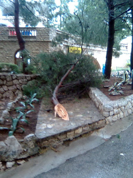 Pijavica s gradom poharala Dolaske Drage, Foto: Maria Dell’Orco Pijavica s gradom poharala Dolaske Drage, Foto: Maria Dell’Orco