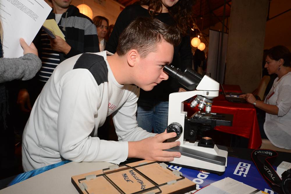 Arsenal: 7. sajam poslova u Zadru, foto: eZadar