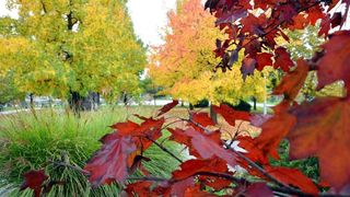 Prekrasne boje bjelovarske jeseni, Photo: Damir Špehar/PIXSELL