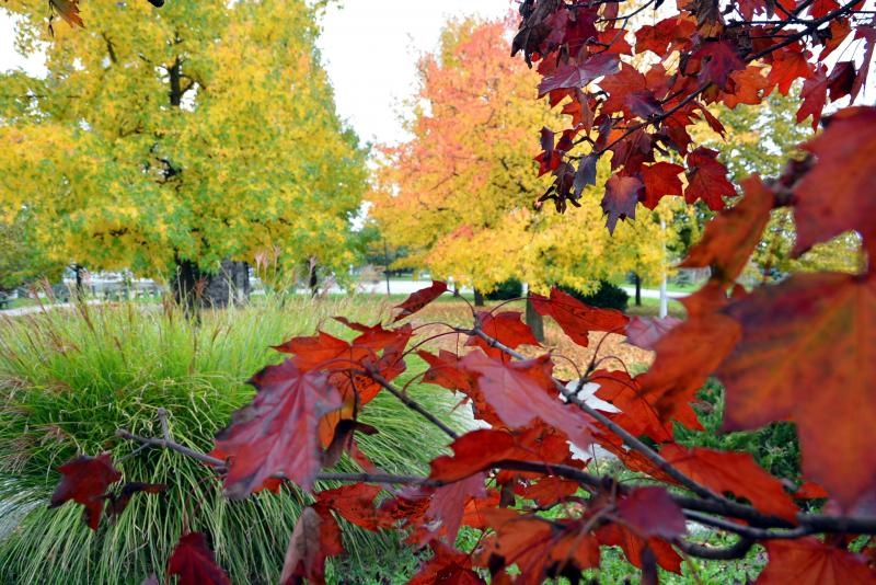 Prekrasne boje bjelovarske jeseni, Photo: Damir Špehar/PIXSELL