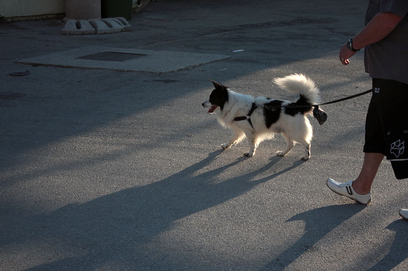 Sukošanska fešta Svetog Kasijana 13. kolovoza 2011, Foto: Lucija Juravić Sukošanska fešta Svetog Kasijana 13. kolovoza 2011, Foto: Lucija Juravić