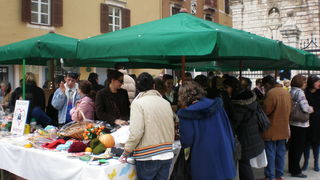 Na Narodnom trgu obilježen Međunarodni dan socijalnog rada