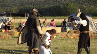 Dani vitezova vranskih, 19. srpnja 2014.