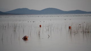 Đir uz Vransko jezero, Foto: Iva Perinić Đir uz Vransko jezero, Foto: Iva Perinić