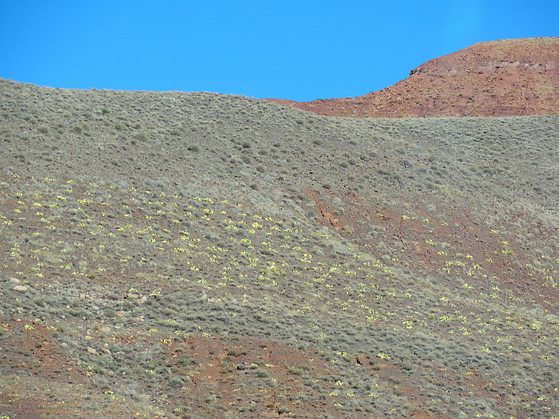 Skitnja po Maroku, foto: Pero Šindija Skitnja po Maroku, foto: Pero Šindija