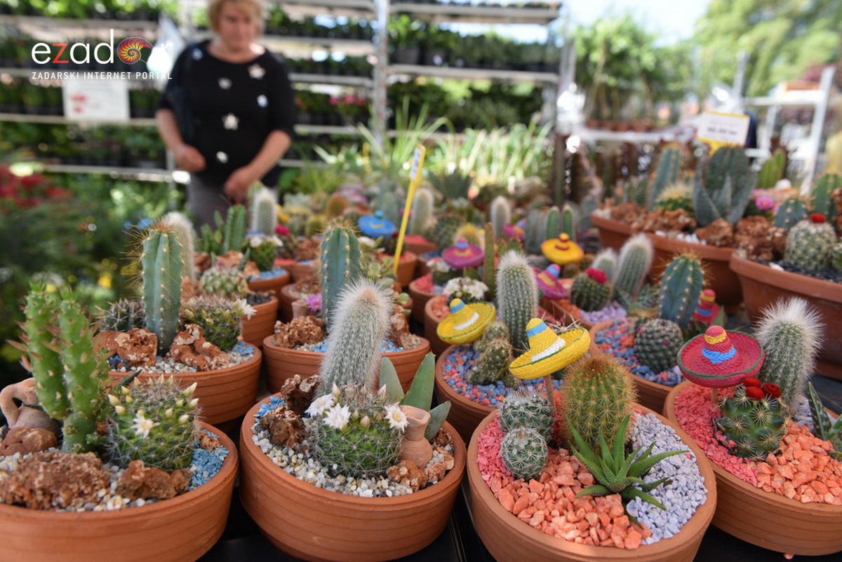 Svečano otvoren 18. Festival cvijeća Zadarske županije u Sv. Filip i Jakovu