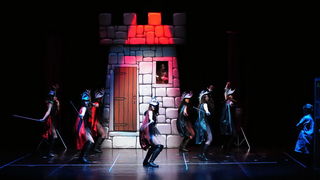 Plesna udruga Gesta: Karnevalski vremeplov, Foto: Zeljko Karavida