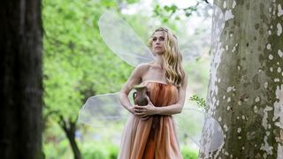 Misice kao šumske vile, koja ima ljepša krila?