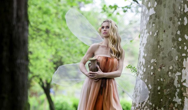Misice kao šumske vile, koja ima ljepša krila?
