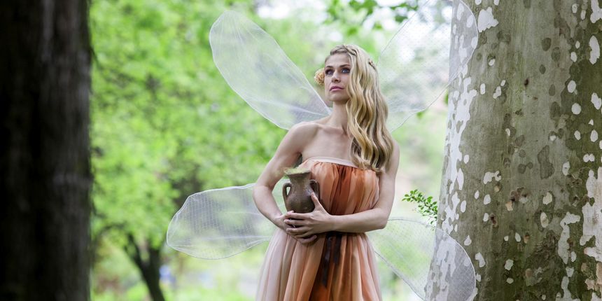 Misice kao šumske vile, koja ima ljepša krila? Misice kao šumske vile, koja ima ljepša krila?