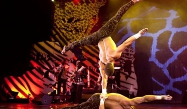 Cirkus Mother Africa u Zagrebu, foto: she.hr