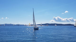 Zadarska Koka 2016. 22. listopada 2016. Foto: Mladen Malik Zadarska Koka 2016. 22. listopada 2016. Foto: Mladen Malik