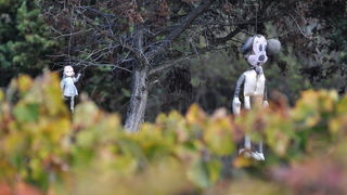 Zadar, 021111
Uz cestu koja vodi od Zadra prema Razancu moze se vidjeti jedan od sigurno najneobicnijih vinograda na svijetu. Umjesto uobicajenih strasila, vinograd cuvaju ogromni plisani medvjedi , lutke, barbike i raznorazne druge igracke i predmeti.
Fo Zadar, 021111
Uz cestu koja vodi od Zadra prema Razancu moze se vidjeti jedan od sigurno najneobicnijih vinograda na svijetu. Umjesto uobicajenih strasila, vinograd cuvaju ogromni plisani medvjedi , lutke, barbike i raznorazne druge igracke i predmeti.
Fo