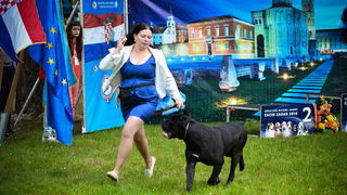 16. Međunarodna izložba pasa CACIB Zadar – Prvak prvaka 2016. 16. Međunarodna izložba pasa CACIB Zadar – Prvak prvaka 2016.