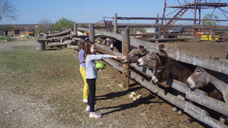 OLYMPUS DIGITAL CAMERA OLYMPUS DIGITAL CAMERA