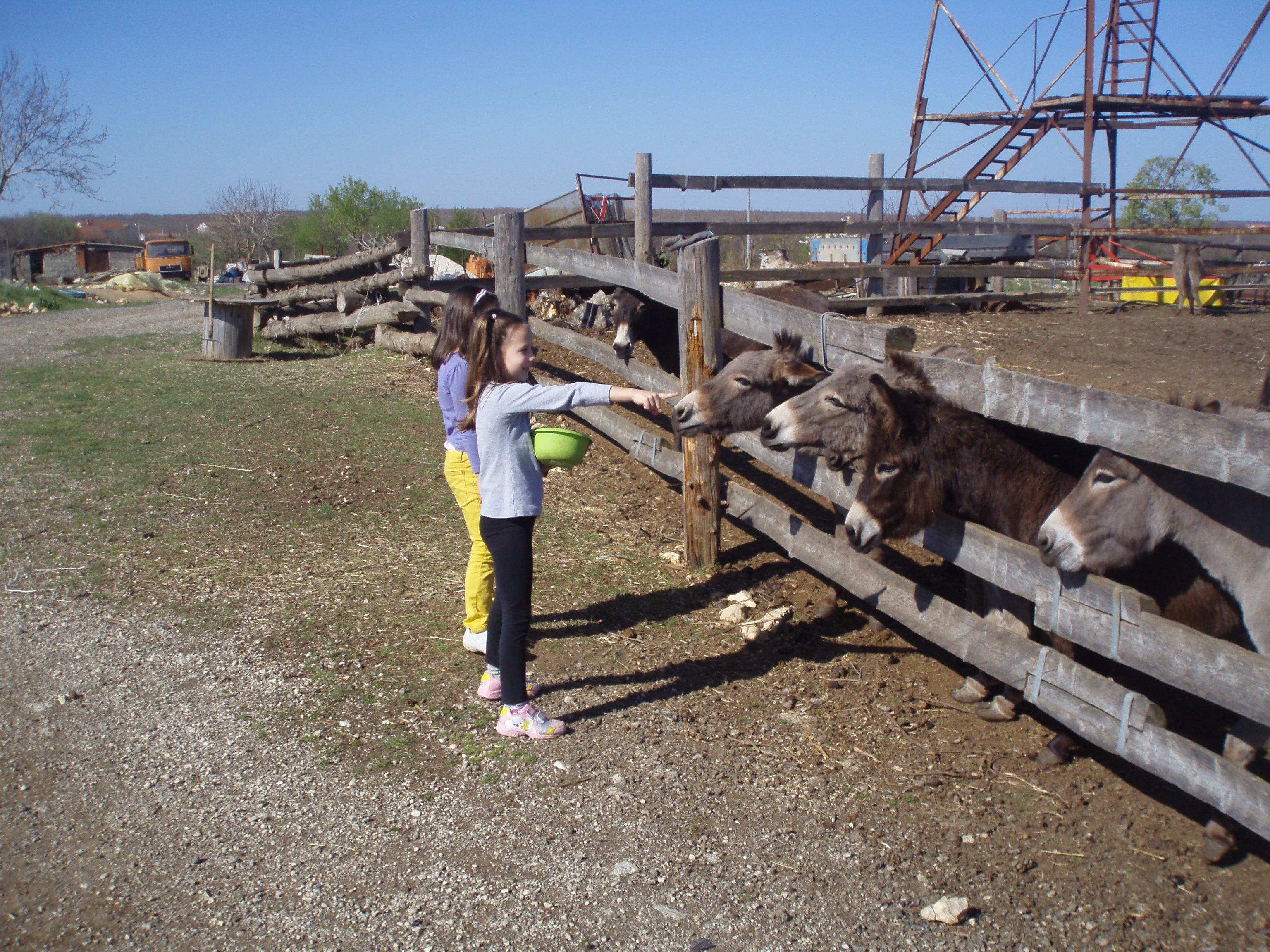 OLYMPUS DIGITAL CAMERA OLYMPUS DIGITAL CAMERA