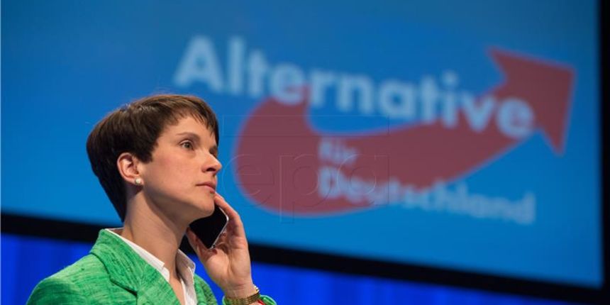 Alternativa za Njemačku Alternativa za Njemačku