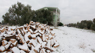 Snijeg u Bibinjama 3. veljače 2012, Foto: Leo Banić