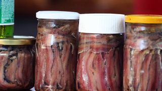 Image 1199869 (auto)