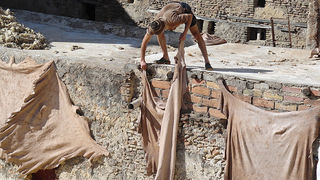 Skitnja Pere Šindije ulicama Maroka Skitnja Pere Šindije ulicama Maroka