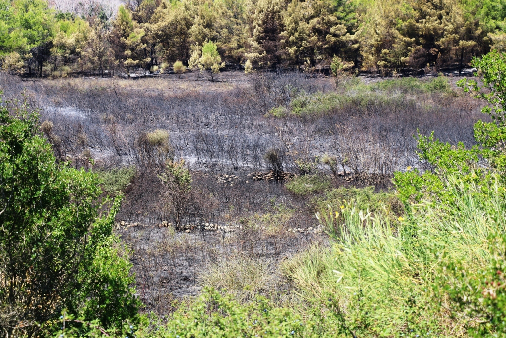 Vir: Požar u Lozicama u potpunosti ugašen Vir: Požar u Lozicama u potpunosti ugašen