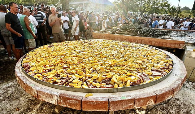 Prisnac Fest 2024 Zelengrad