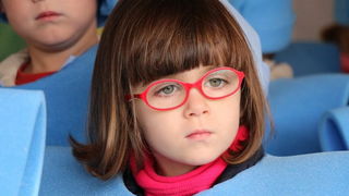 Virski karnevalić 2016. Virski karnevalić 2016.