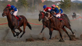 Polača: 14. Međunarodne konjičke utrke “Oluja 95”, Foto: Leo Banić Polača: 14. Međunarodne konjičke utrke “Oluja 95”, Foto: Leo Banić
