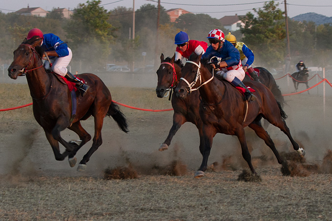 Polača: 14. Međunarodne konjičke utrke “Oluja 95”, Foto: Leo Banić Polača: 14. Međunarodne konjičke utrke “Oluja 95”, Foto: Leo Banić