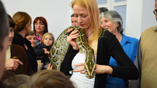 Otvorenje izložbe “Zmije – opasna ljepota”, foto: Iva Perinčić Otvorenje izložbe “Zmije – opasna ljepota”, foto: Iva Perinčić