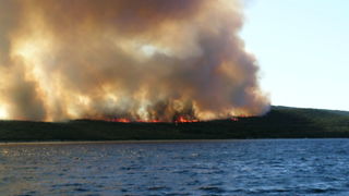 Image 1177155 (auto)