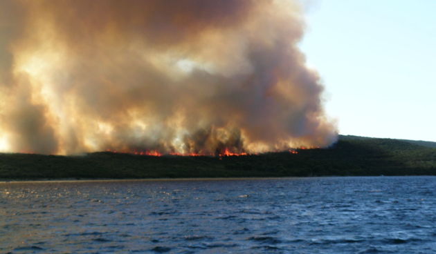 Image 1177155 (auto)