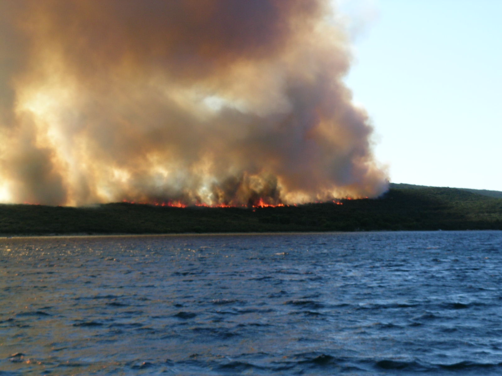 Image 1177155 (auto)