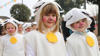 Virski Karnevalić 2017.