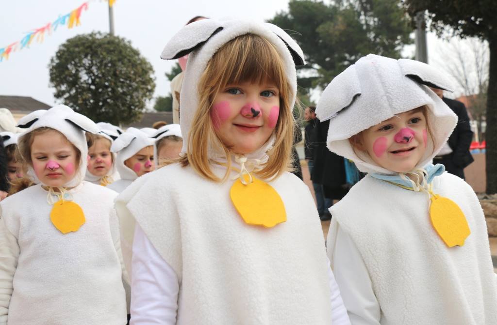 Virski Karnevalić 2017.